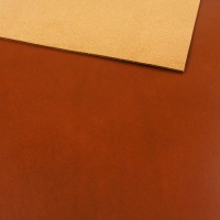 1.5mm CAPRI Camel Tan 30 x 60cm